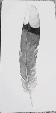 Divine Feather Messenger